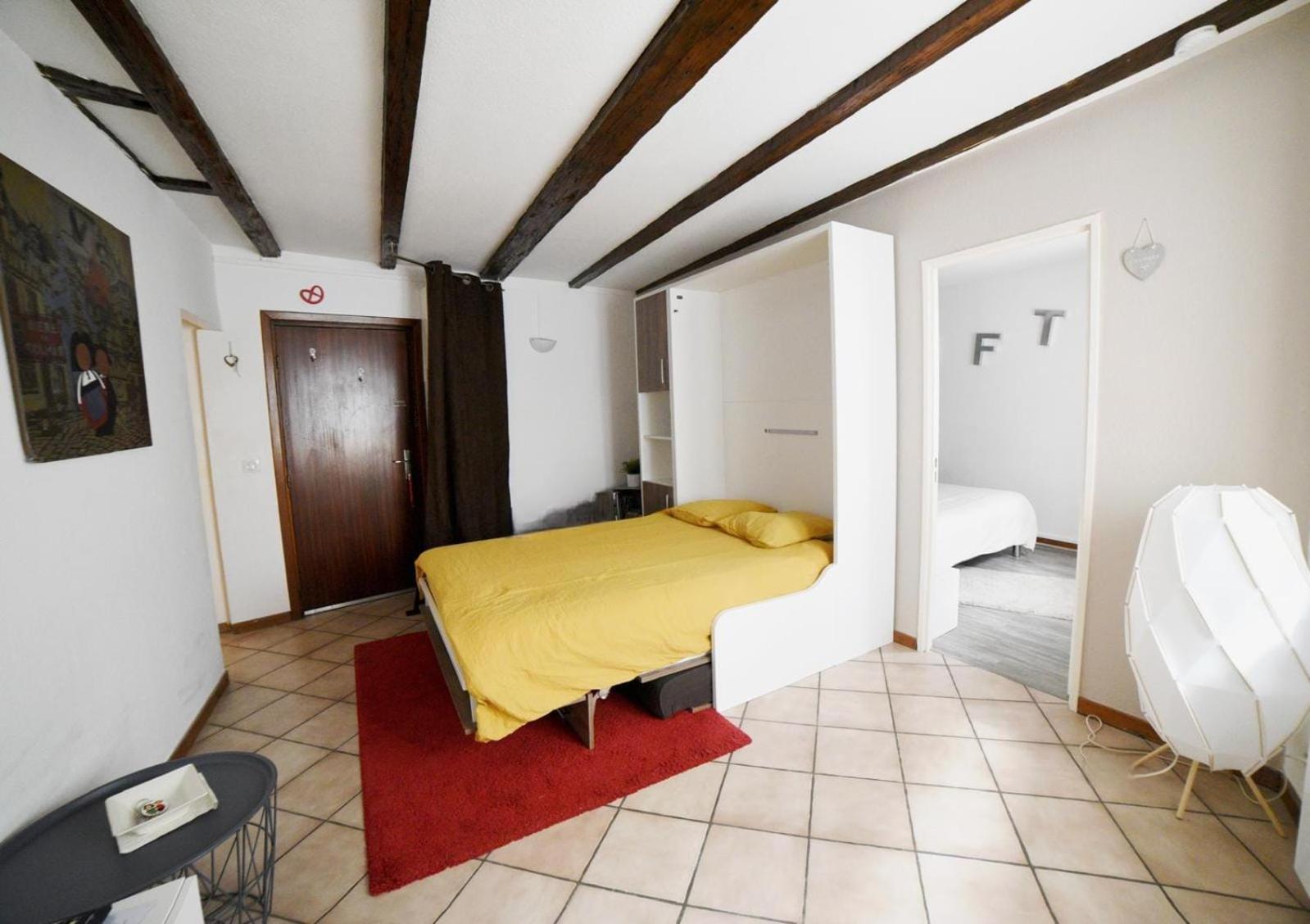 Chez Mumu Apartment Colmar Bagian luar foto