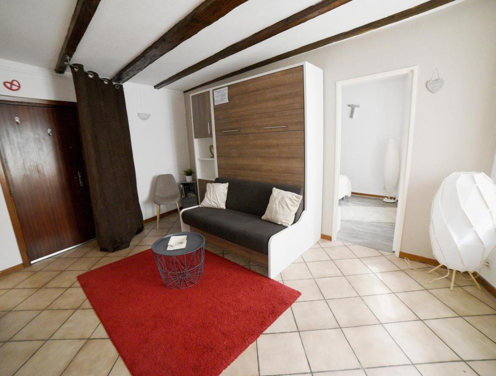 Chez Mumu Apartment Colmar Bagian luar foto
