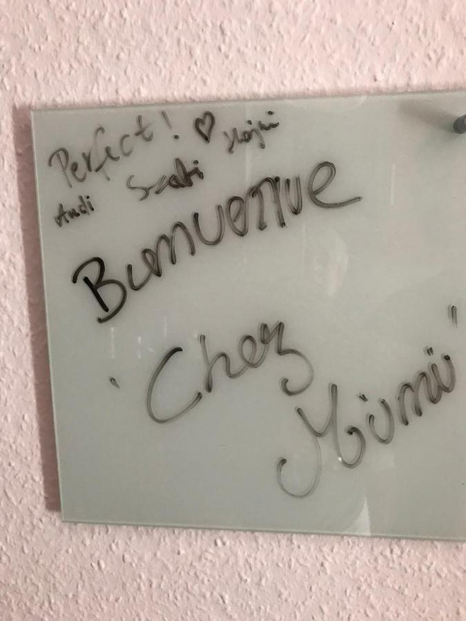Chez Mumu Apartment Colmar Bagian luar foto